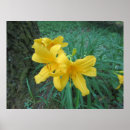 Suche nach eichen blätter poster Blume