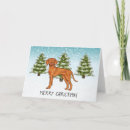 Suche nach vizsla hunde karten Jagdhund