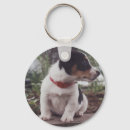 Suche nach jack russell schlüsselanhänger Niedlich