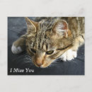 Suche nach traurige katze postkarten Vermisst