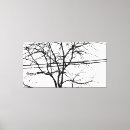 Suche nach baum silhouette leinwandbilder Herbst