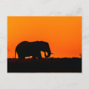 Suche nach sonnenuntergang silhouette postkarten Fotografie