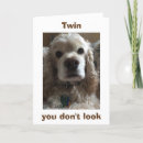 Suche nach cocker spaniel geburtstag karten Erwachsen