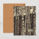 Recherche de nature forêt cartes postales Arbres