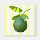 Recherche de et vert de chaux magnets Citron