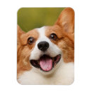 Recherche de du chien magnets Dogs