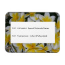 Suche nach frangipani magnete Natur