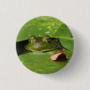 Suche nach froggy buttons Frösche