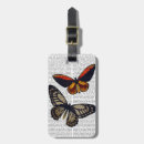 Recherche de mouche accessoires Steampunk
