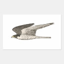 Suche nach raubvögel aufkleber Natur