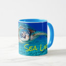 Recherche de créatures de mer tasses Plongée