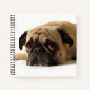 Recherche de triste carnets Animal