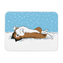 Recherche de colley magnets Sheltie