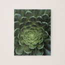 Suche nach nahaufnahmeansicht puzzle Niemand