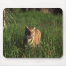 Suche nach bengalischer tiger mousepads Natur
