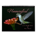 Suche nach kolibris kalender Fotografie