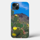 Recherche de saguaro électronique Tucson