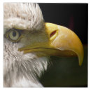 Suche nach eagle fliesen Tiere