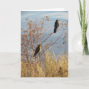 Suche nach schnappen karten Vogelvogel