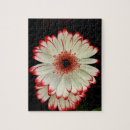 Suche nach gerbera puzzle Mit blumen