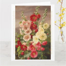 Suche nach rosa hollyhock karten Natur