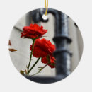 Suche nach rote rosen ornamente Fotografie