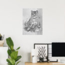 Suche nach berglöwen poster Tier