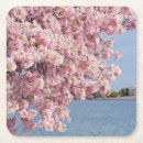Recherche de washington dc dessous de verres Consumerproduct
