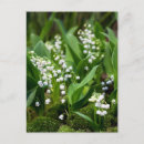 Recherche de suede cartes postales Fleur
