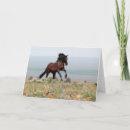 Suche nach mustang karten Wild