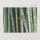 Recherche de rob cartes postales Kyoto