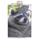 Suche nach waschbär flachmänner Natur