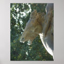 Recherche de fontaine de cheval Kansas