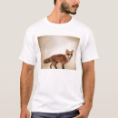 Recherche de varment Animal