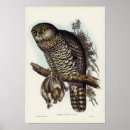 Recherche de illustration hibou posters Vintage