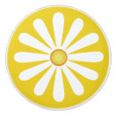 Recherche de marguerite blanche boutons et poignées de porte Jolie