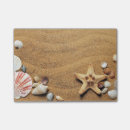 Recherche de chauds ceci vacances posters Coquillages