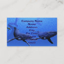 Recherche de baleines cartes visite Plongée