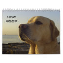 Suche nach labrador kalender Tier
