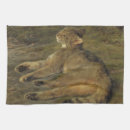 Recherche de chats sauvages cuisine linges Félin