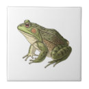 Suche nach frosch fliesen Tier