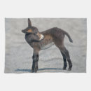 Suche nach fohlen geschirr tücher Esel