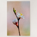 Suche nach japanische blumen puzzle Quelle