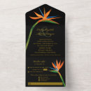 Recherche de bird of paradise Oiseau de paradis