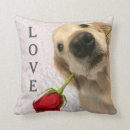 Recherche de chien rose photographie Amour