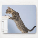 Suche nach stuhl mousepads Vertikal