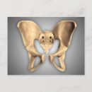 Suche nach menschliche anatomie postkarten Illustration