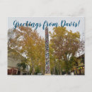 Recherche de davis cartes postales Californie