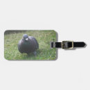 Suche nach taub gepäckanhänger Natur