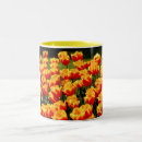 Suche nach rote tulpen tassen Flora